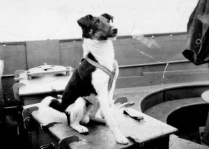 A.B. O'Brian -HMCS TRENTONIAN Mascot