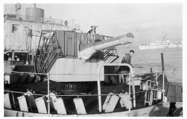 HMCS MAYFLOWER's Mascot