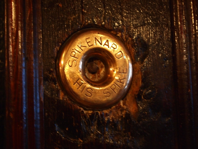 SPIKENARD -His Spike