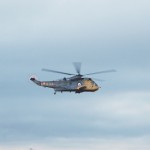 50th Anniversary Sea King