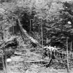 HMCS CORNWALLIS Obstacle Course