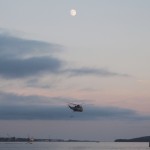 50th Anniversary Sea King