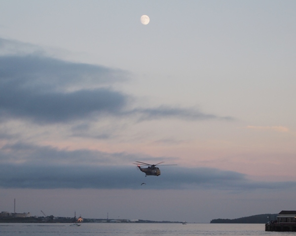 50th Anniversary Sea King