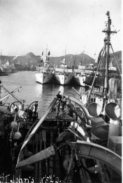 Crowded St. John`s Harbour