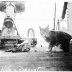 Christmas in HMCS WASAGA