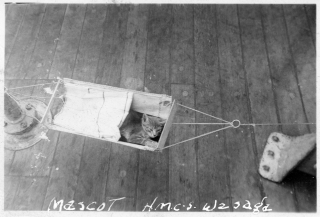 HMCS WASAGA`s Mascot