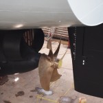 MV ASTERIX Screw and Rudder