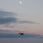 50th Anniversary Sea King