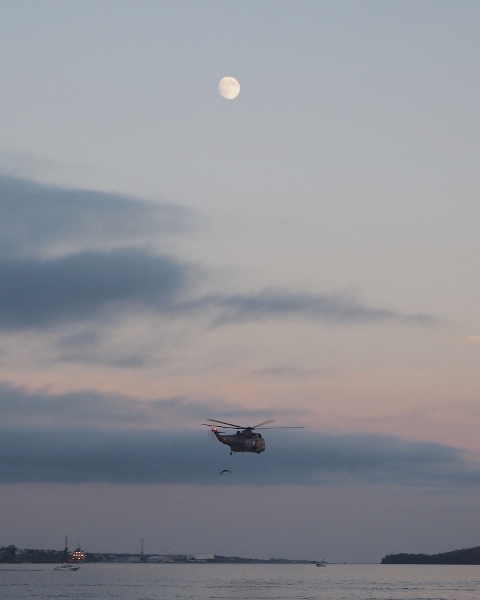 50th Anniversary Sea King