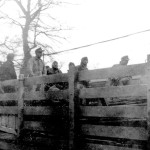 German POW’s -Cherbourg, FR.