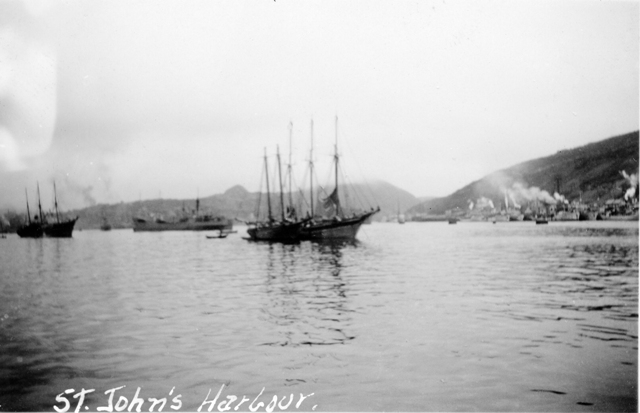 Busy St. John's Harbour