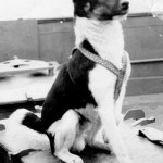 A. B. O’Brian -Biography of a Ship’s Mascot