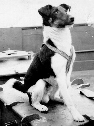 1 Untitled-29-copy-web