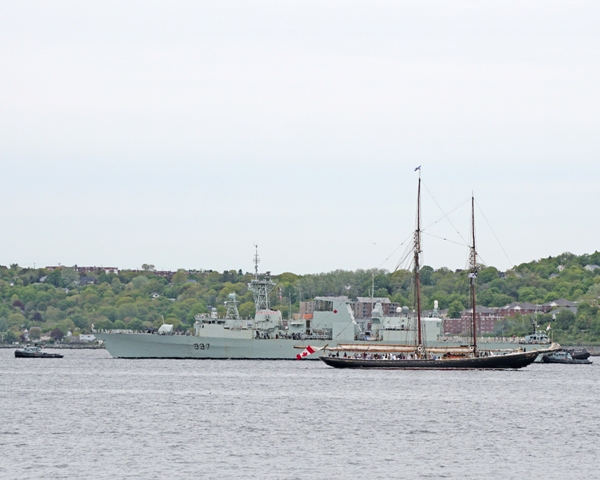 Bluenose meets Freddy