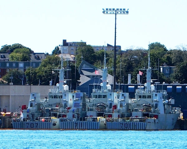 Kingston Class MCDV's
