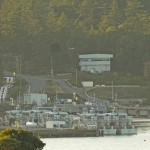 Orca’s at Esquimalt