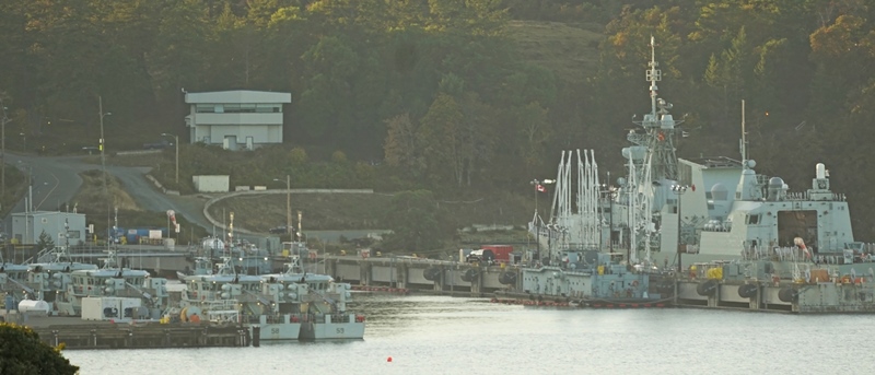 Orca's and Frigates, Oh My!