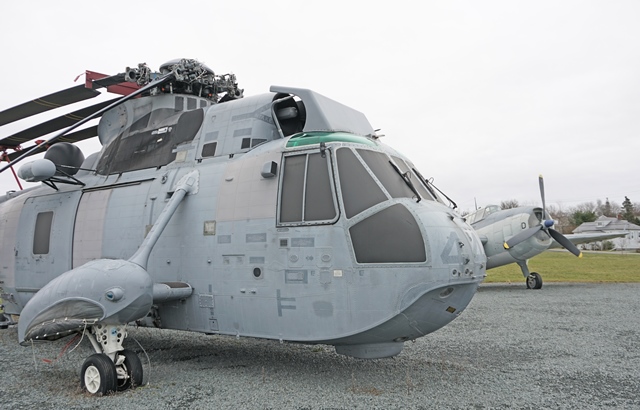 Sea King and Avenger